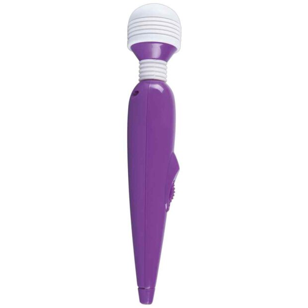 Womens Spa Mini Massager