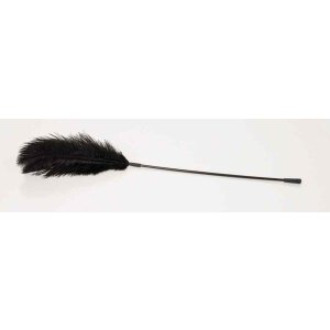 Black feather Bad Kitty