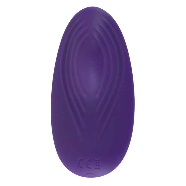 Sweet Smile Panty Vibrator