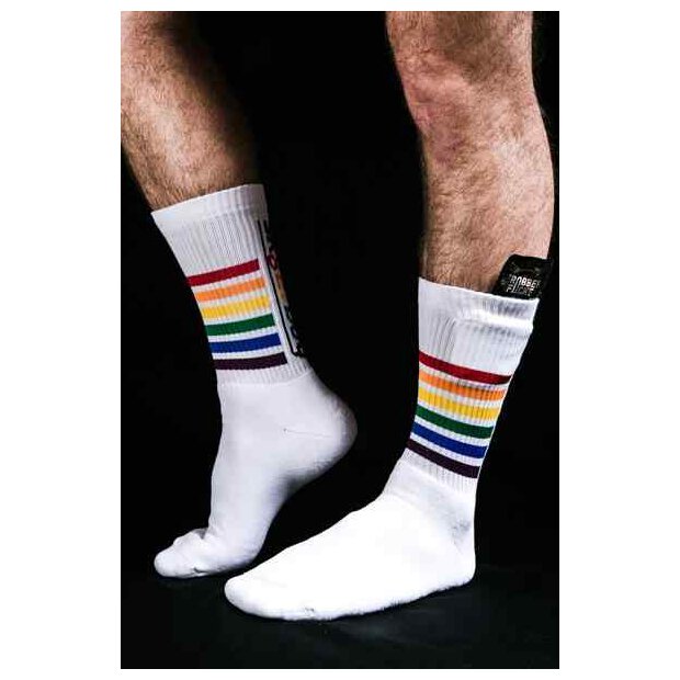 Sk8erboy PRIDE Socks
