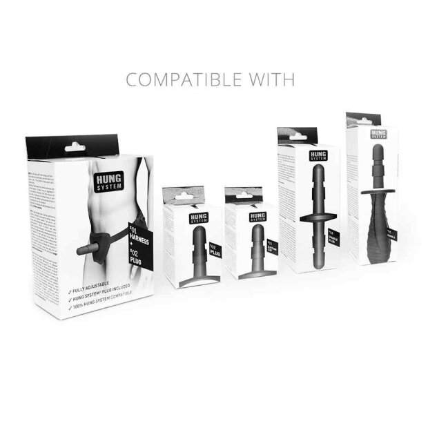 HUNG System Benny Flesh