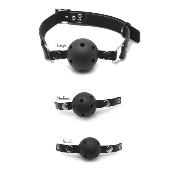 Ball Gag Training System