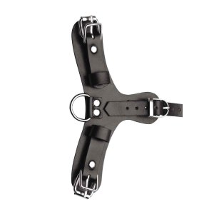 Pup Puppy Play Hood + Breathable Ball Gag