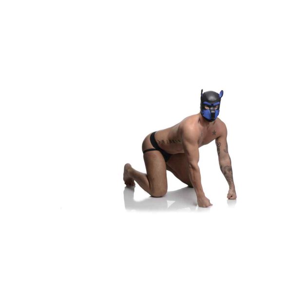Neoprene Puppy Hood - Black and Blue