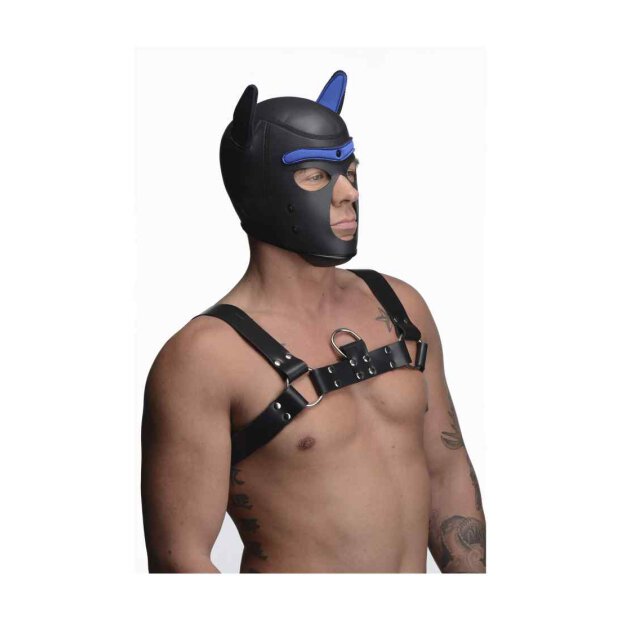 Neoprene Puppy Hood - Black and Blue