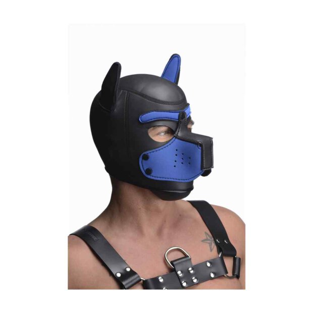 Neoprene Puppy Hood - Black and Blue