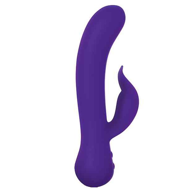 Swan The Duchess Swan