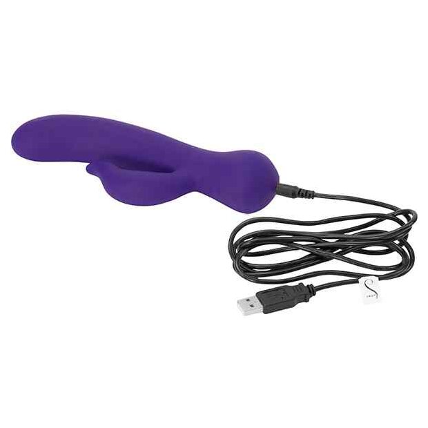 Swan The Duchess Swan