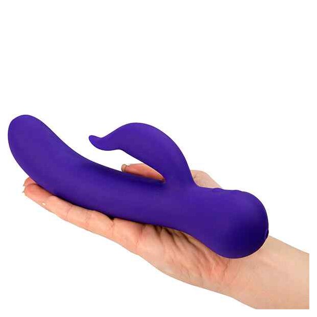 Swan The Duchess Swan