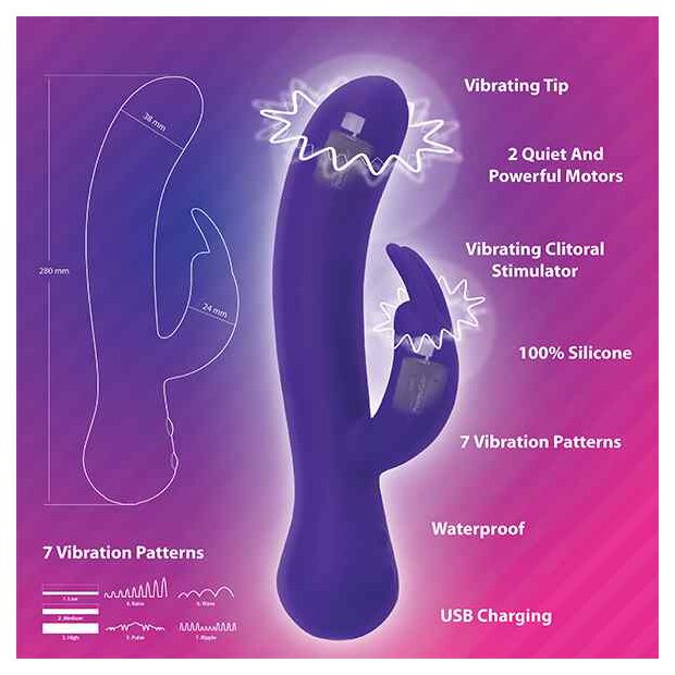 Swan The Majestic Swan